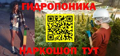 шишки Волжск