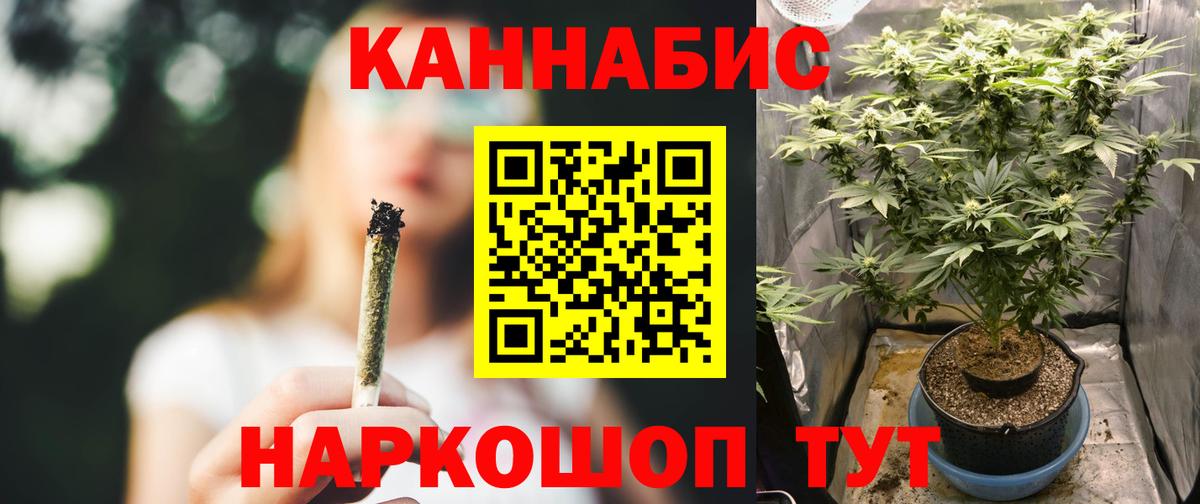 Бошки Шишки ГИДРОПОН  Бошки Шишки планчик  Бошки марихуана Ganja  Вход с VPN  Старая Купавна 